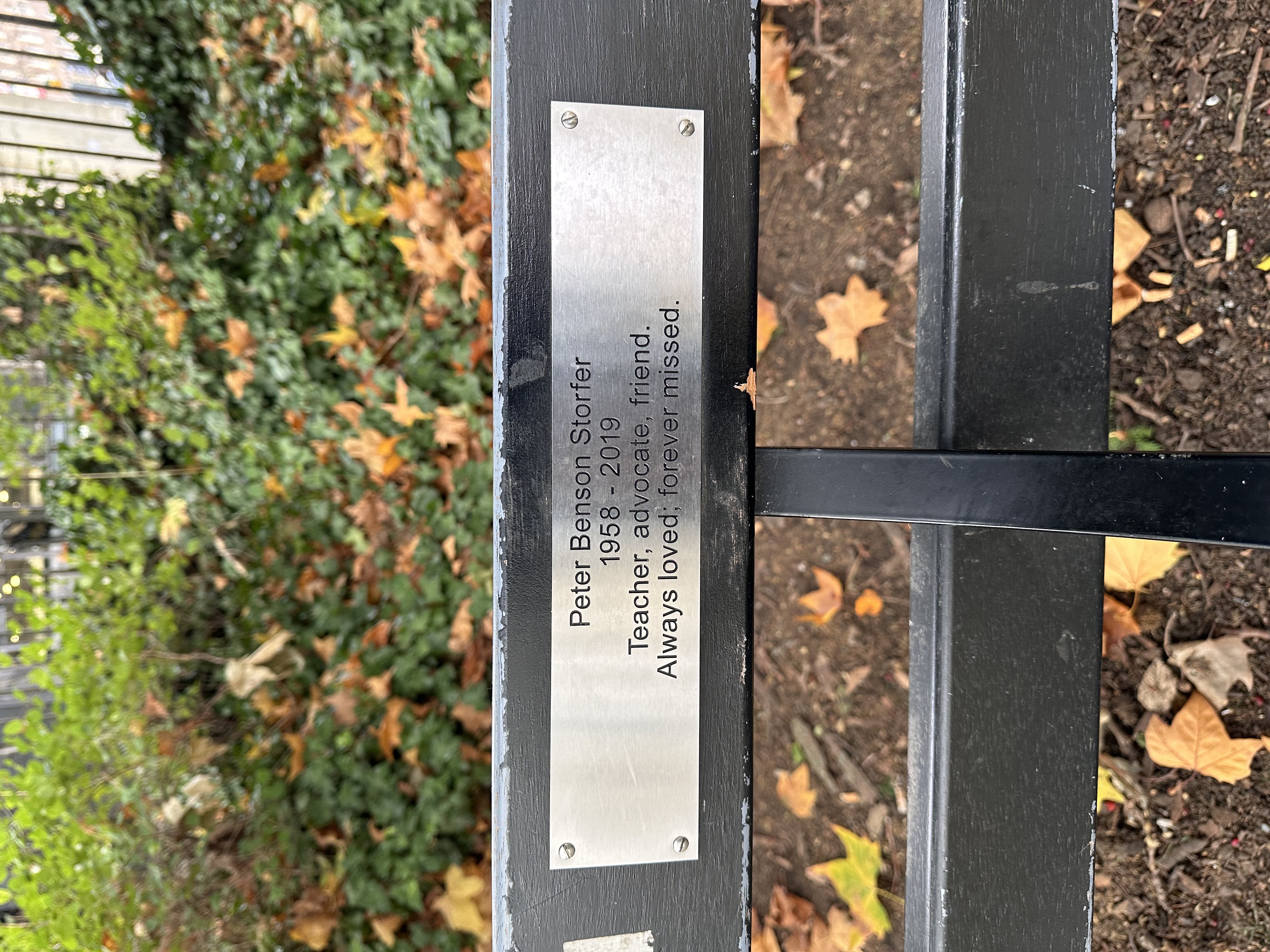 The bench I sat on today