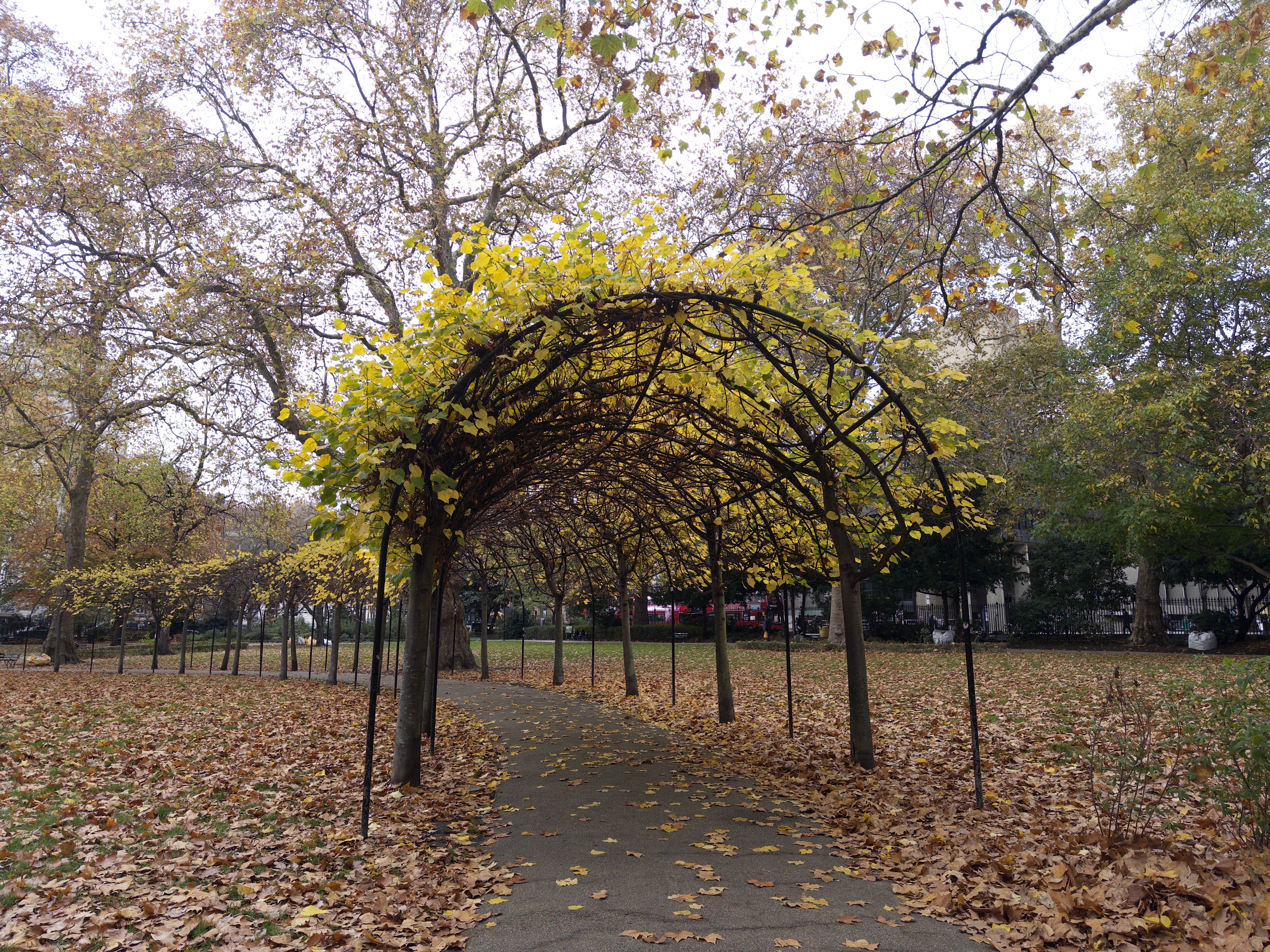 Autumn in Russel Square
